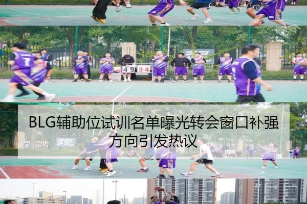 BLG辅助位试训名单曝光转会窗口补强方向引发热议